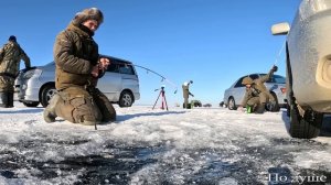 Ловим Байкальского омуля! Зимняя рыбалка на Байкале! Попали на вечерний клёв!!!