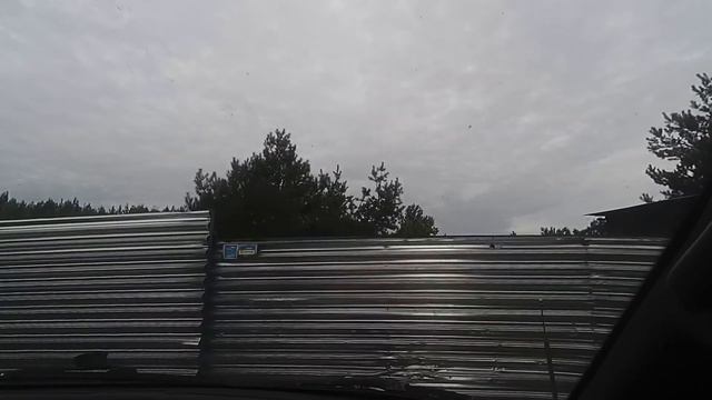 Поездка в приют для животных "Бест Френдс" смотреть онлайн