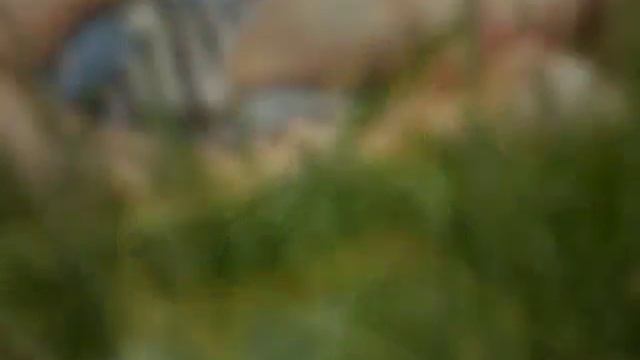 Санаторий "Мокша" 2016 смотреть онлайн