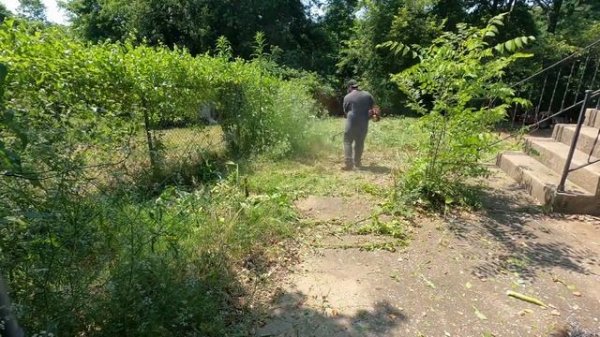 I gave this ABANDONED house a FREE makeover |TIME-LAPES OF THE CRAZY YARD CLEAN UP