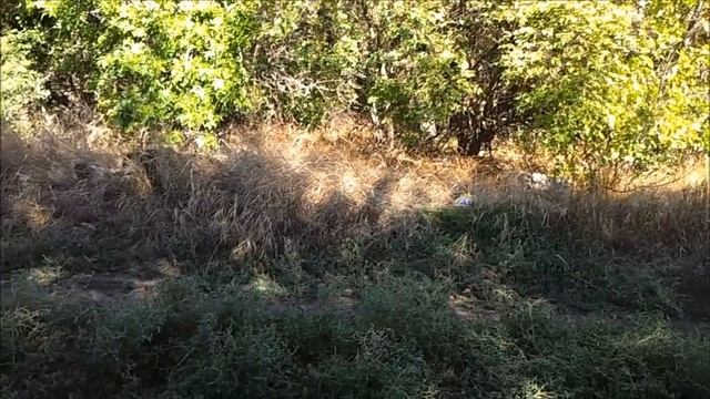 Информационная зависимость. Ч. 1. Что происходит? смотреть онлайн