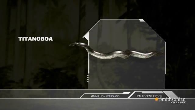 Titanoboa: Monster Snake - Titanoboa Vs. T-Rex смотреть онлайн