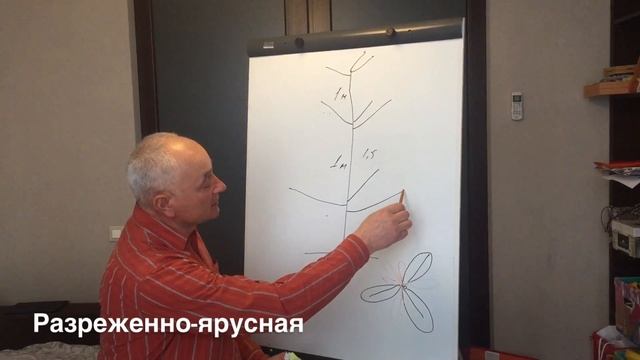 3 основные формировки плодового дерева смотреть онлайн