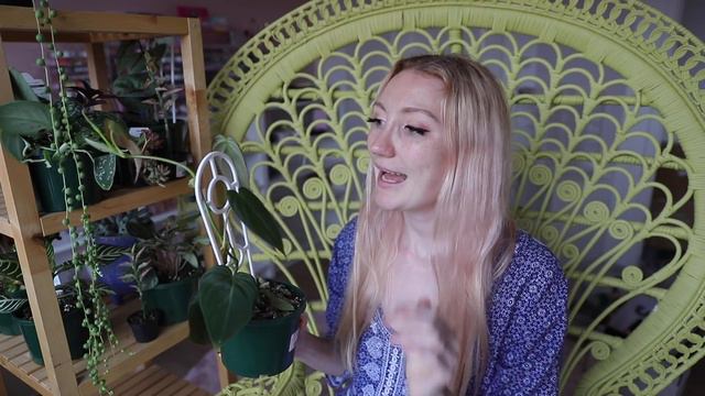 $500 RARE PLANT HAUL!!! HUGE RARE HOUSEPLANT HAUL | 21 RARE HOUSEPLANTS 2021