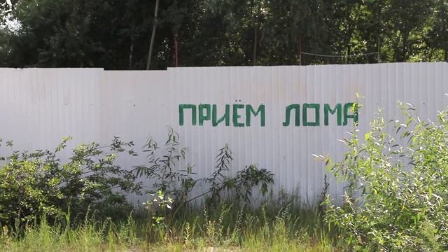 УЖЕ МЕСЯЦ ВЫВОЗИМ ДЕНЬГИ ИЗ ЛЕСА! НАС ПРОГОНЯЮТ, НО МЫ КОПАЕМ... смотреть онлайн