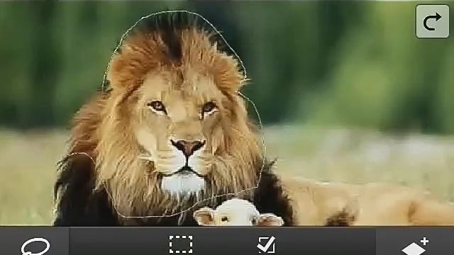 Adope photoshop touch 3 часть смотреть онлайн