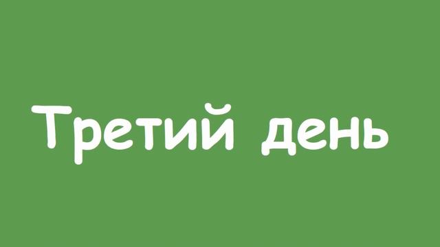 Итоговое слайд-шоу программы зимнего отдыха без родителей 2020 смотреть онлайн