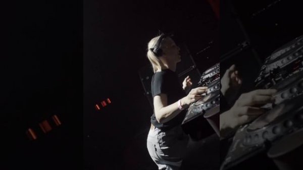 Ellen Allien