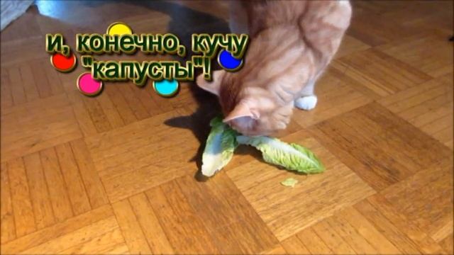 Рождество Новый Год Поздравления Weihnachten Neues Jahr Wünsche Merry Christmas смотреть онлайн