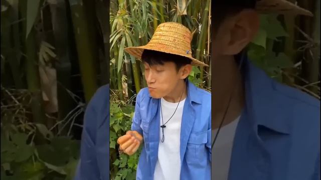 Food That Looks Inedible! |Chinese Mountain Forest Life And Food #Moo Tiktok #Fyp #junglelife