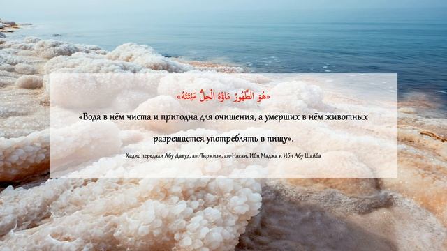 Хукм использования солёной воды при омовении смотреть онлайн