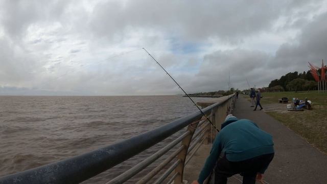 Удовольствие простой рыбалки в Аргентине: Улов на поплавок и донную снасть в реке Rio la Plata смотреть онлайн