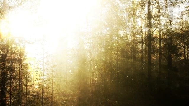 A Safe Place Within for "Love & Well-Being" (Deep Space Vocal Blends 3 in 528 Hz) смотреть онлайн