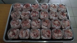 Тушенка из мяса кролика Весьегония. Как это делается.