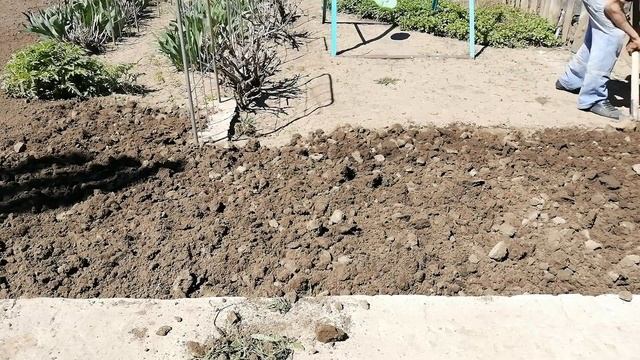 ПРЕОБРАЖЕНИЕ УЧАСТКА, УБОРКА, ВЫРАВНИВАНИЕ ЗЕМЛИ ПОД ГАЗОН | ЧАСТЬ 2 | The POSE Family