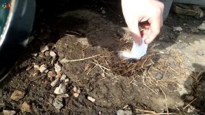 Разжигаю костер с помощью лупы. Проверка LifeHacks