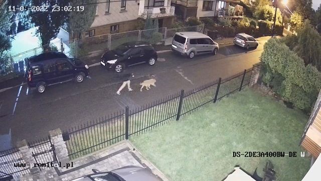 Test kamery Hikvision DS-2DE3A400BW-DE Dzień/Noc смотреть онлайн