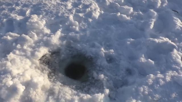 ЗИМНЯЯ РЫБАЛКА НА ХАПУГУ ХЛОПОК, ОТЛИЧНАЯ СНАСТЬ ДЛЯ РЫБАЛКИ В ГЛУХОЗИМЬЕ, Fisherman DV. 27 RUS