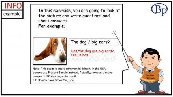 Have Got - Has Got - Exercises + PDF - Improve your grammar - Easy English Lesson