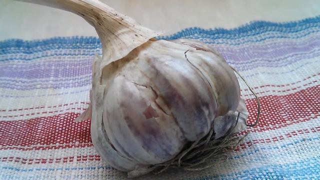 Головка чеснока / Head of garlic смотреть онлайн