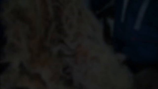 ТРЕПАЛЬНАЯ МАШИНА для Шерсти смотреть онлайн