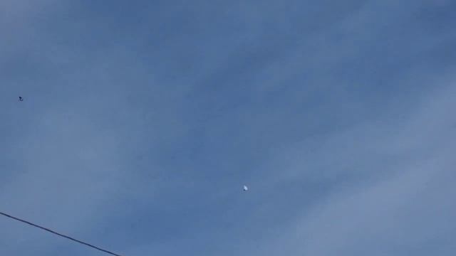 #Pigeons.Гнел из Москвы в Н.Новгороде у Карена гоняет Гагиковских голубей. смотреть онлайн