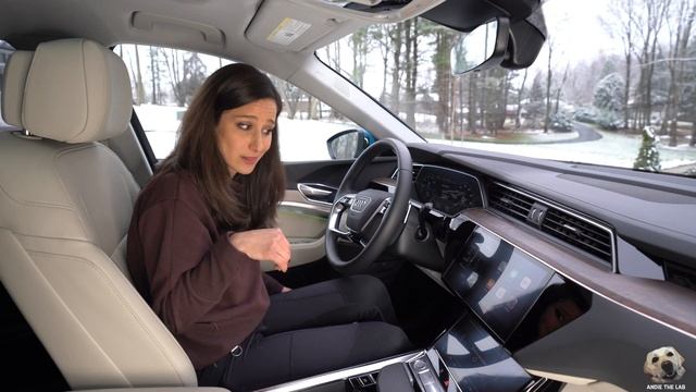 2019/2020 Audi e-tron + ASUS Giveaway: Andie the Lab Review! смотреть онлайн