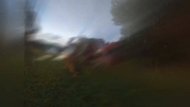 Вылет на шашлыки. Когда собачники становятся друзьями. смотреть онлайн