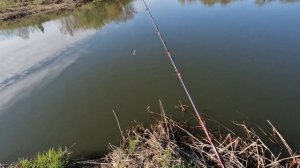 Какое кастинговое удилище забросит приманку дальше?