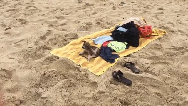 Бали #6. Пляж Гегер. Пляж Джимбаран. Отель Swiss- Belhotel Segara Resort&Spa смотреть онлайн