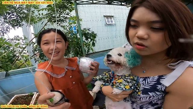 TẬP 29: THỬ THÁCH THẢ TRỨNG TỪ "ĐỘ CAO 100M" TÌM RA MANH MỐI SỐ 1 TỚI NƠI CỨU SU MIU смотреть онлайн
