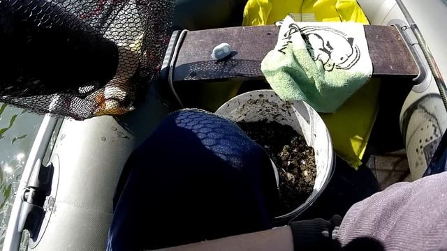 Вот это УЛОВ !!!/Рыбалка на РАКУШКУ в проводку/Проводка на РАКУШКУ смотреть онлайн