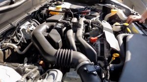 Subaru Forester/Субару Форестер. Первичная диагностика. Проблемы: горят ошибки, сбой в электронике.