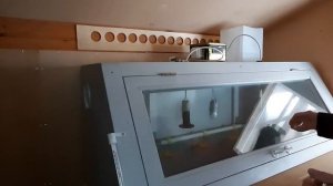 ПРАВИЛЬНЫЙ брудер для цыплят своими руками.