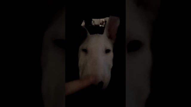 Кнопик-буль :-* смотреть онлайн