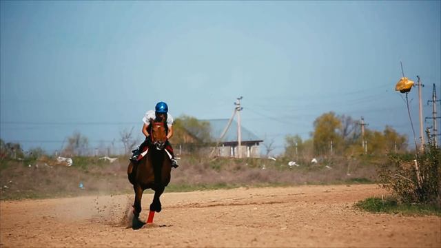 Открытие сезона скачек на иподроме Нурдаулет смотреть онлайн