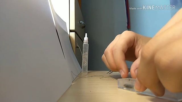 Выращиваю муху для своей мухоловки. смотреть онлайн