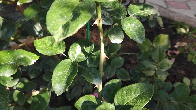 Стройка с Вами