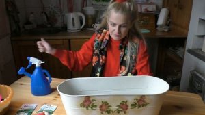 Выращиваем редис дома