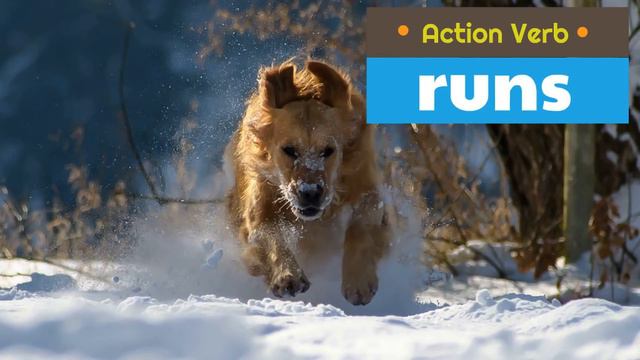 Action Verbs For Kids
