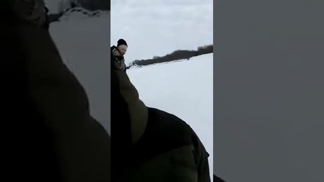 Нижняя-Пёша с леса с дровами смотреть онлайн