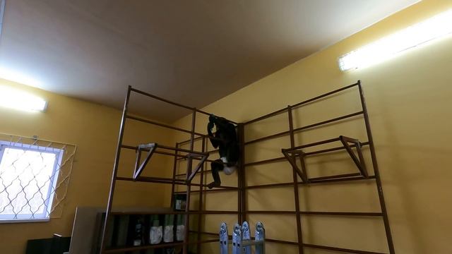 Шимпанзе проводит генеральную уборку! | У нас новый этап строительства | Новости сегодня смотреть онлайн