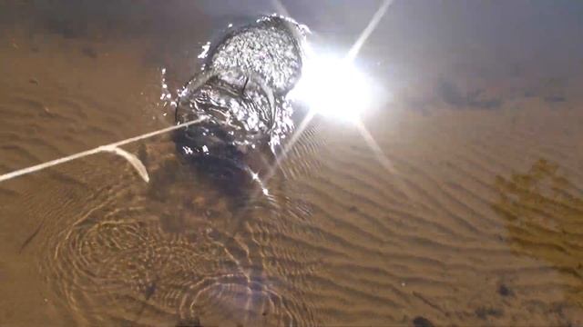 201805250830 г.Волжский. Рыбалка на Ахтубе . смотреть онлайн