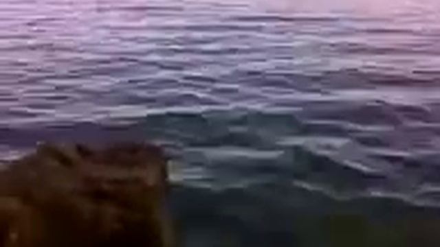 Верхнеднепровск смотреть онлайн