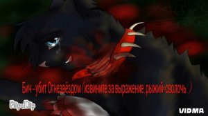 Смерти Котов-Воителей.