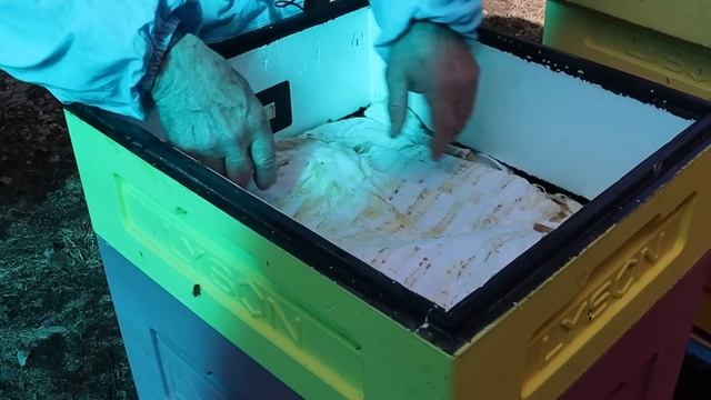 Лучший вариант весенней подкормки пчел. смотреть онлайн