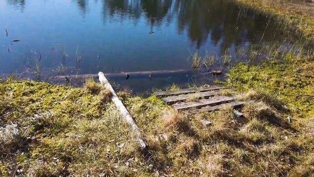 НАШ ПРИМЕР - Дети в походе - С ПАЛАТКОЙ смотреть онлайн