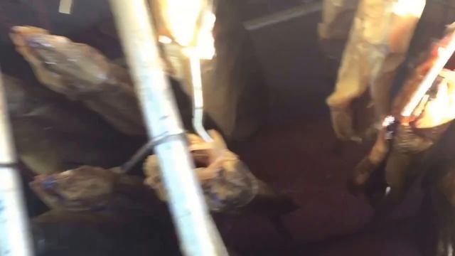 сушка и холодное копчение рыбы смотреть онлайн