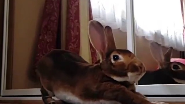 Потягушки смотреть онлайн