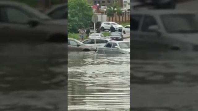 погода в Ставрополе это полный ужас смотреть онлайн